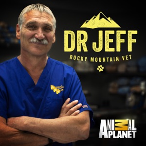 jeff ep12