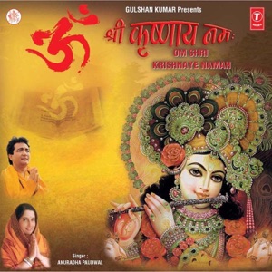 Om Shri Krishnaye Namah