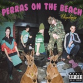 Perras on the beach - Puchos