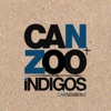 Can + Zoo Índigos