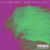 Need Your Lovin (Like the Sunshine Mix) cover art