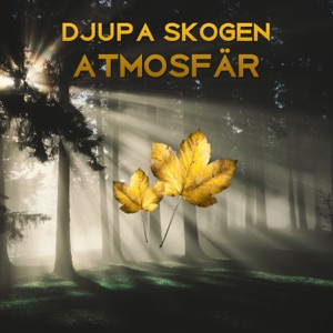 Djupa skogen atmosfär: Helande regnljud, Mjuka kvittrande syrsor, Grodor, Tjutande vind, Fågelsång, Vattenfall