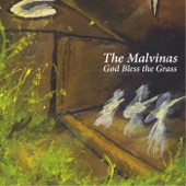 The Malvinas - God Bless the Grass