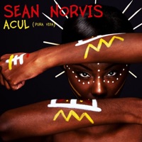 Acul (Pura Vida) - Single - Sean Norvis