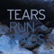 Destroyer - Tears Run Rings lyrics