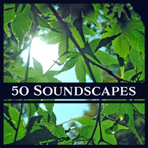 50 Soundscapes: Zen New Age & Nature Sounds for Meditation, Yoga, Spa & Deep Relaxation, Healing Therapy Music