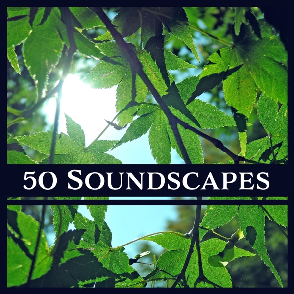 50 Soundscapes: Zen New Age & Nature Sounds for Meditation, Yoga, Spa & Deep Relaxation, Healing Therapy Music