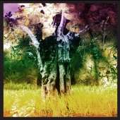 Man of Oil by Animal Collective