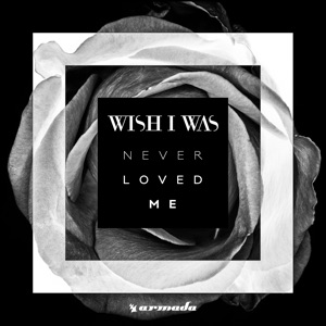 Never Loved Me - Single