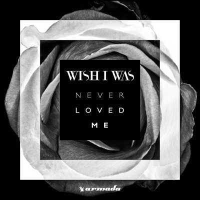 Never Loved Me - Single