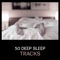 Earth Music - Deep Sleep Hypnosis Masters lyrics