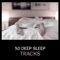 Earth Music - Deep Sleep Hypnosis Masters lyrics