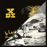 YDI - Mad at the World
