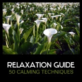 Relaxation Guide – 50 Calming Techniques for Anxiety Relief, Healing Soul, Gentle Nature Sounds with Chinese Instruments artwork