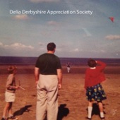 Delia Derbyshire Appreciation Society - Sine Language