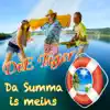 Die Tiger - Da Summa is meins 2016