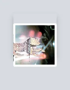 Listen to The Stella Link, watch music videos, read bio, see tour dates & more!