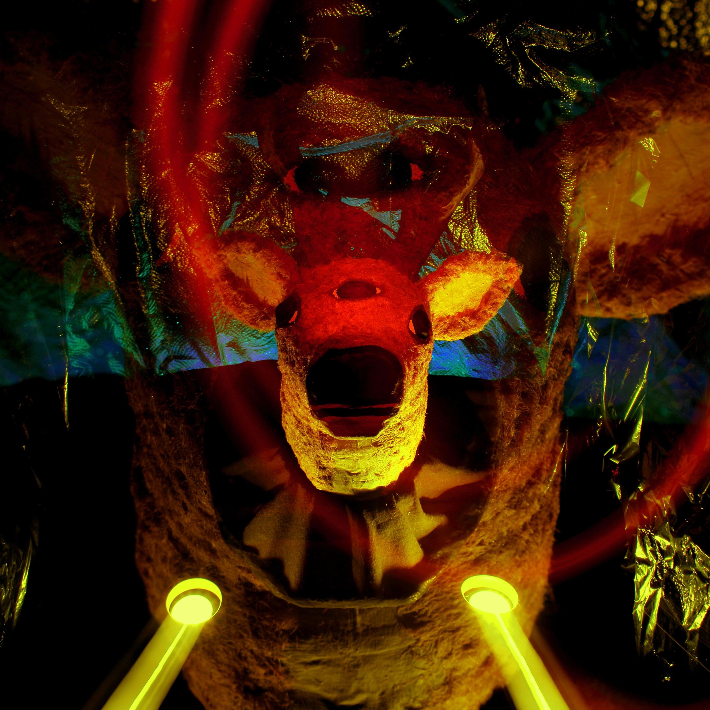 Wilderness Tales - EP