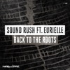 Back To the Roots (feat. Eurielle) - Single