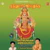 P. Raghavendran - Karunai Ullam