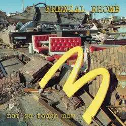 Not So Tough Now - Frenzal Rhomb