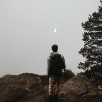 Standing Still - Single - metsä