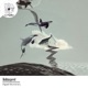 Digital Electronica EP
