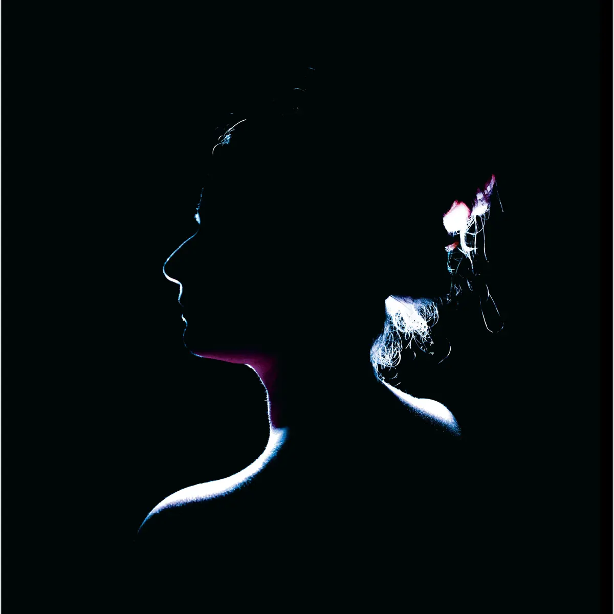 Jenn Grant - Paradise (2016) [iTunes Plus AAC M4A]-新房子