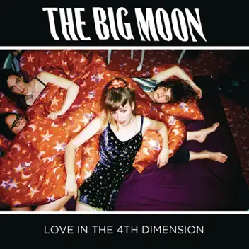 Love in the 4th Dimension album cover