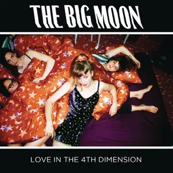 Love in the 4th Dimension album cover