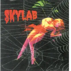 Skylab - Rogério Skylab