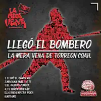 PAJARO CUMBIA — La Mera Vena