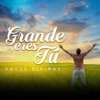 Grande Eres Tú - EP