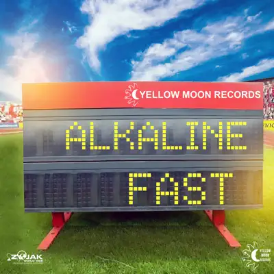 Fast - Single - Alkaline