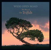 Wide Open Road - The Best of the Triffids