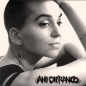 Ani DiFranco - Both Hands