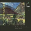 Stefan Blunier Drei Stücke, WAB 97: No. 1, Moderato Bruckner: Sinfonie No. 0, Marsch WAB 96, 3 Stücke WAB 97
