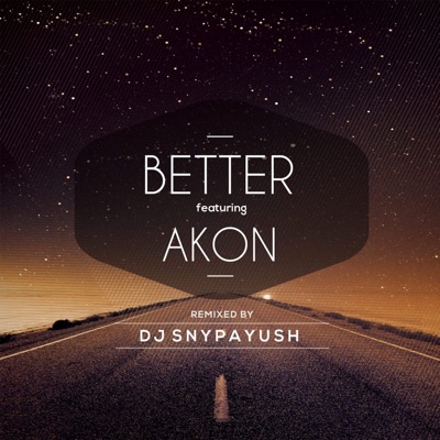 DJ SNYPAYUSH - Better (Remix) [feat. Akon]