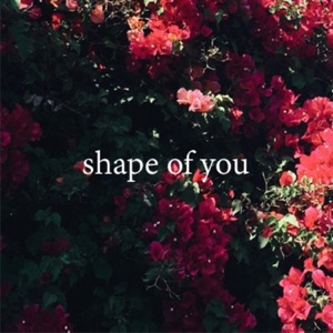 Shape of You - Single