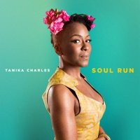 Endless Chain - Tanika Charles