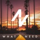 What I Need Single