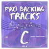 Pro Backing Tracks C, Vol. 28 - Pop Music Workshop