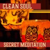 Clean Soul: Secret Meditation – Purification with Nature Sounds, Soothing Music for Inner Energy, Free Mind & Creative Spirit