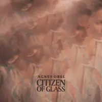 Citizen of Glass (Instrumental) — Agnes Obel
