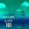 Ambiente 432Hz - Nature Caldwell lyrics