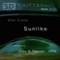 Sunlike (SRA Remix) - Elmar Strathe lyrics