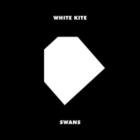 White Kite - Swans