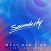 What Can I Do (feat. Ali Love) [Fred V & Grafix Remix] cover art