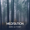 Meditation dans la forêt - Oasis Des Bruits Naturels