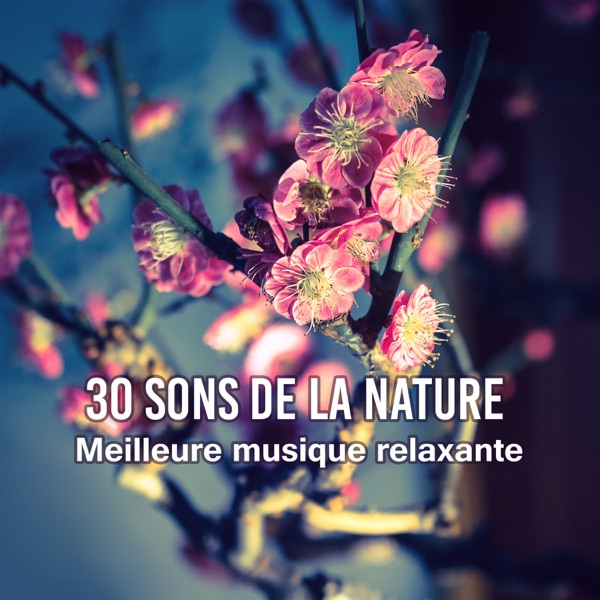 30 Sons de la nature - Meilleure musique relaxante pour le bien-être, soins du corps et de l'esprit, la méditation profonde, ralentir la tension avec le yoga, le tai-chi et de pilates